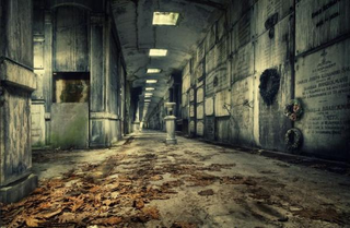 Illustration for article titled This abandoned tomb in Belgium would be the perfect set for a horror movie
